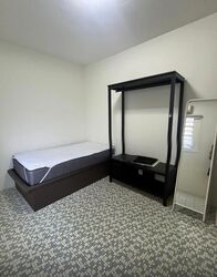 Mcnair Road (D12), Terrace #495635361